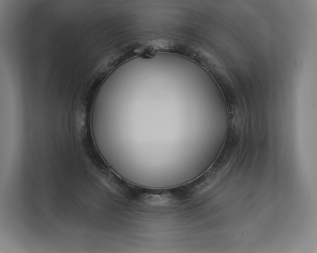 X0000112200548200908211542