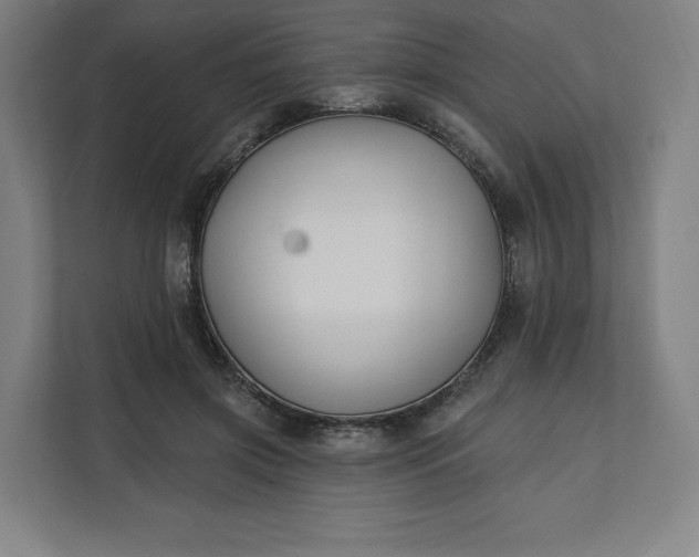 X0000112200549200908211542