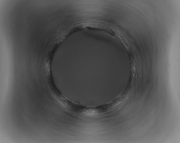 X0000112200551200908211543