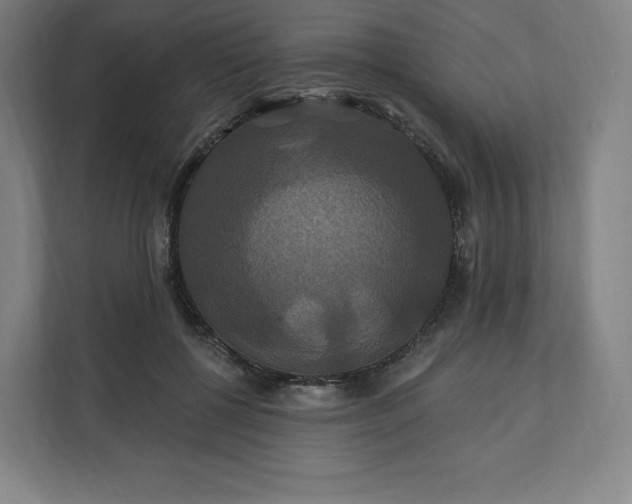 X0000112200552200908211543