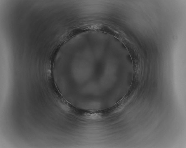 X0000112200553200908211543