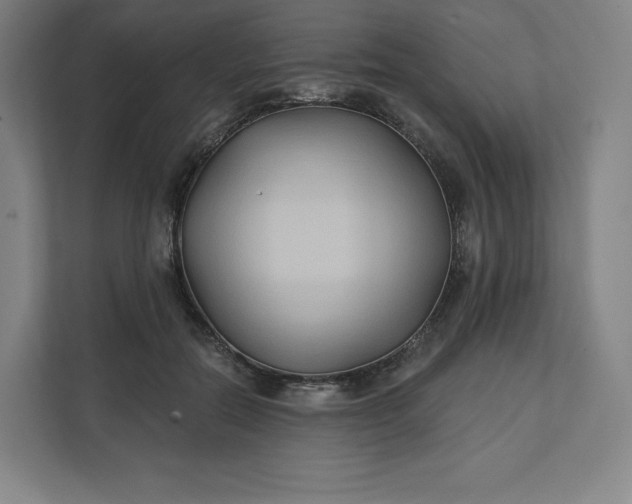 X0000112200554200908211543