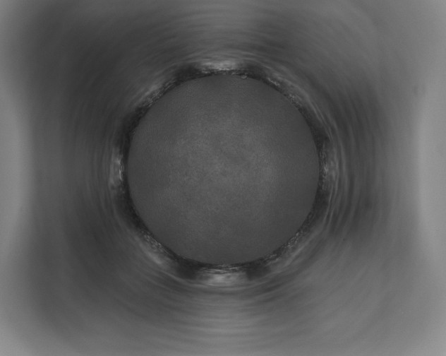 X0000112200555200908211543