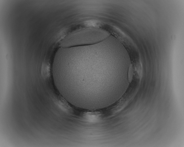 X0000112200556200908211543