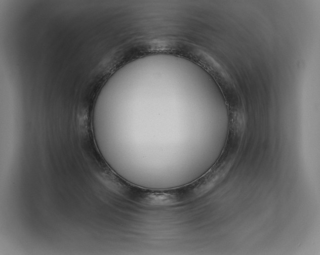 X0000112200557200908211543