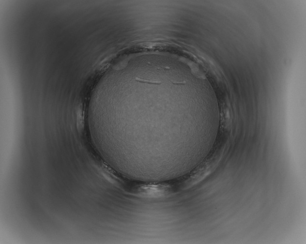 X0000112200558200908211543