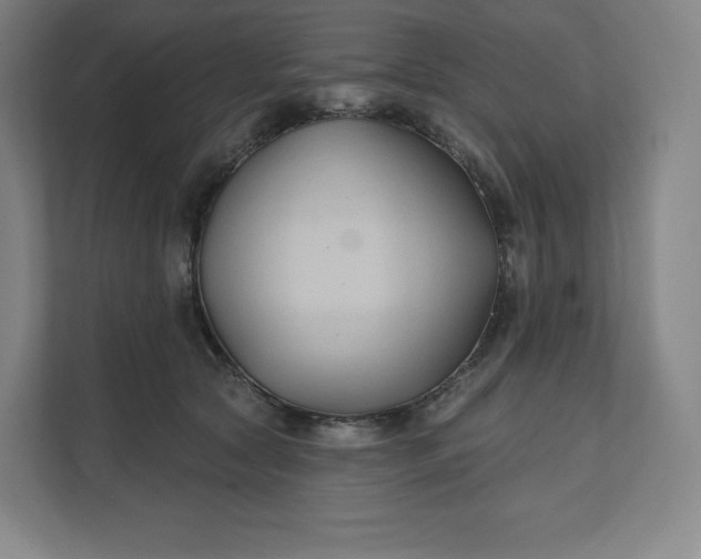 X0000112200561200908211543