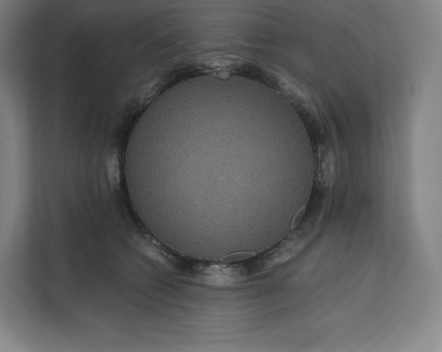 X0000112200562200908211543