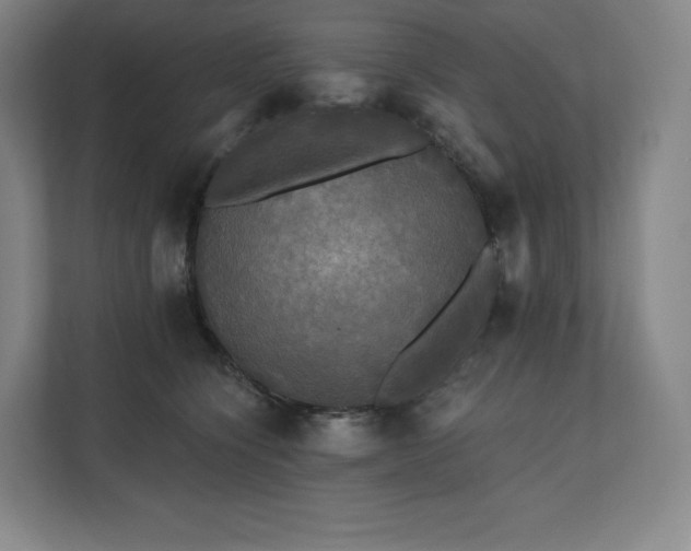 X0000112200564200908211543