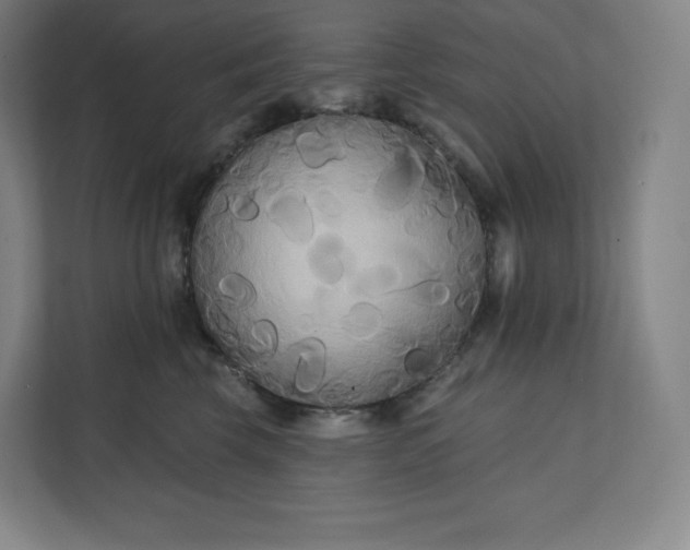 X0000112200569200908211543