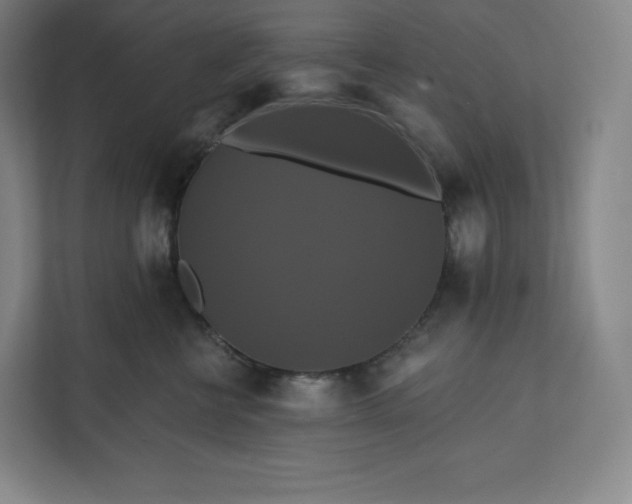 X0000112200570200908211543