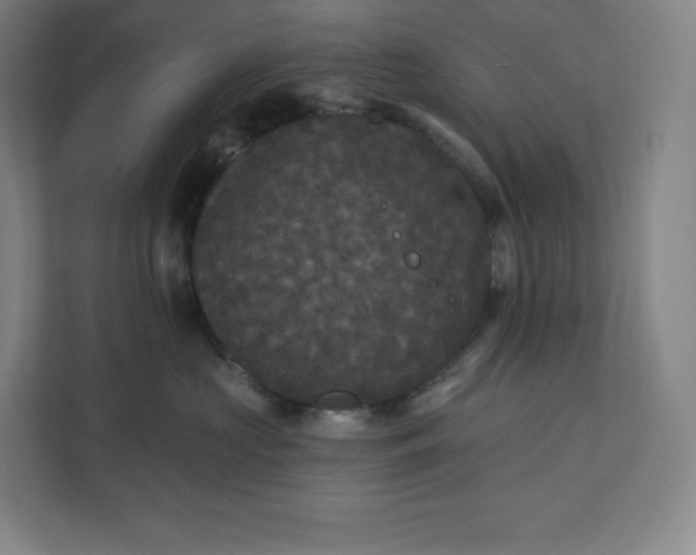 X0000112200573200908211543