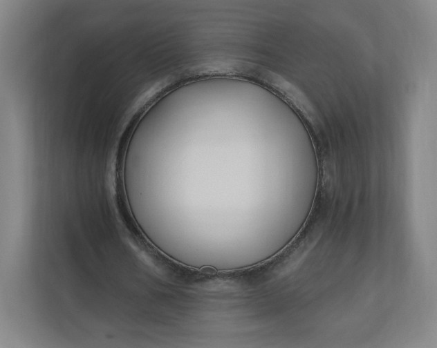 X0000112200578200908211542