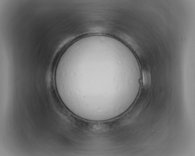 X0000112200579200908211542