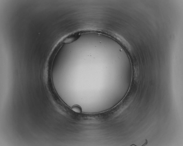 X0000112200580200908211542