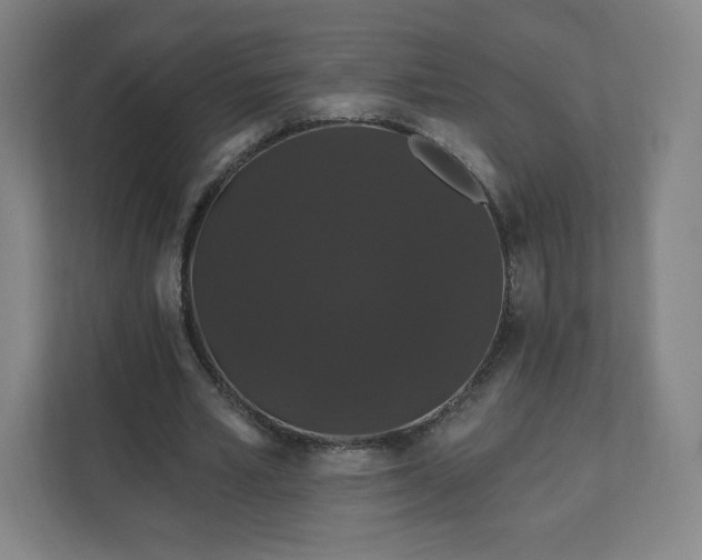 X0000112200581200908211542