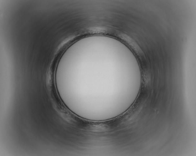 X0000112200583200908211542