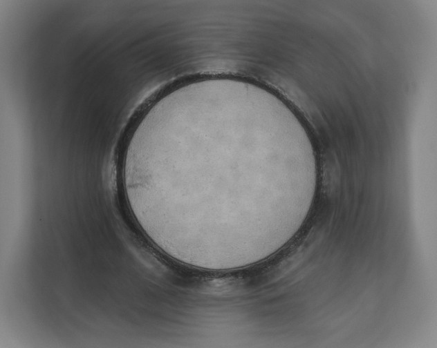 X0000112200584200908211542