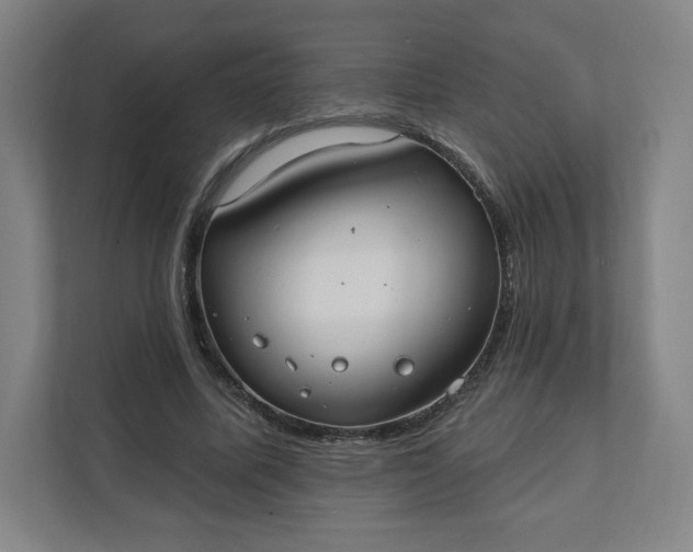 X0000112200587200908211542