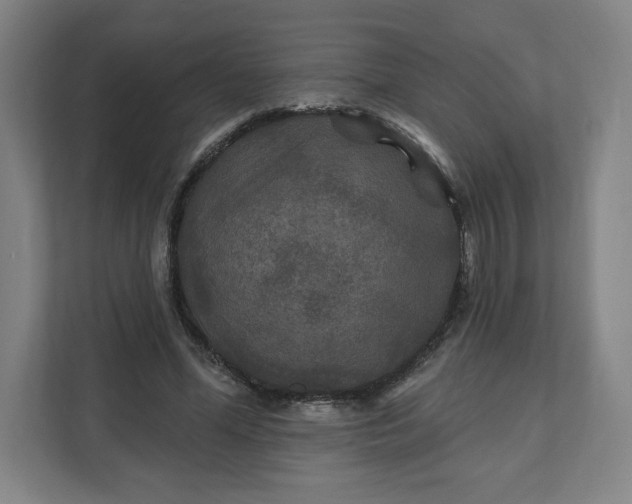 X0000112200588200908211542