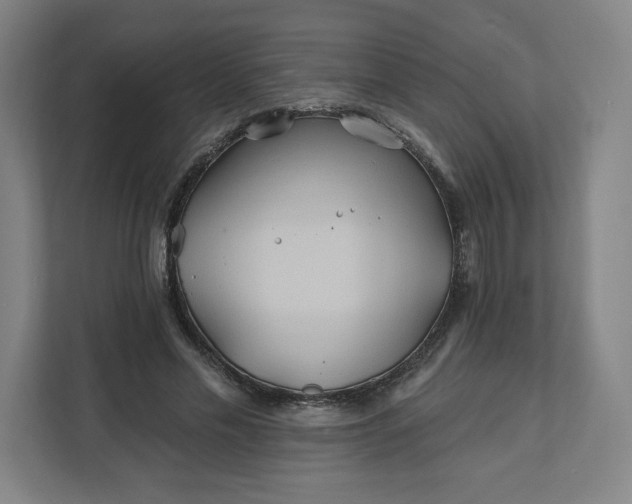 X0000112200589200908211542