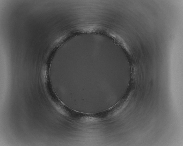 X0000112200590200908211542