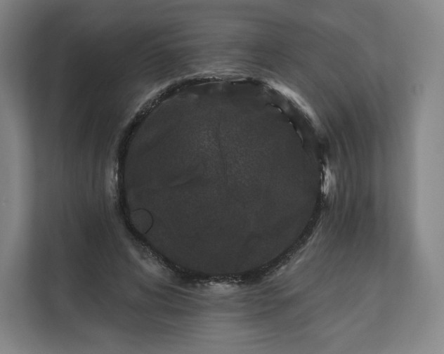 X0000112200592200908211542