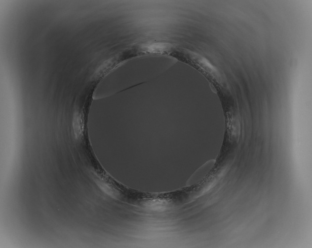 X0000112200593200908211542