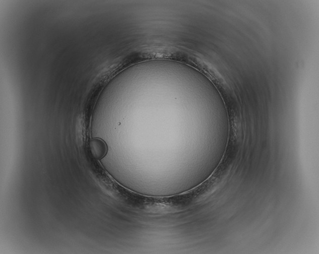 X0000112200594200908211542