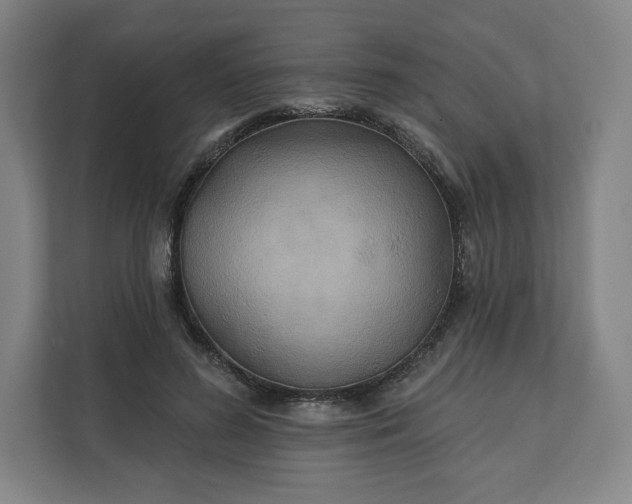 X0000112200596200908211542