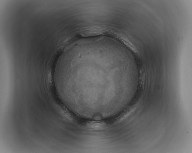 X0000112200597200908211542