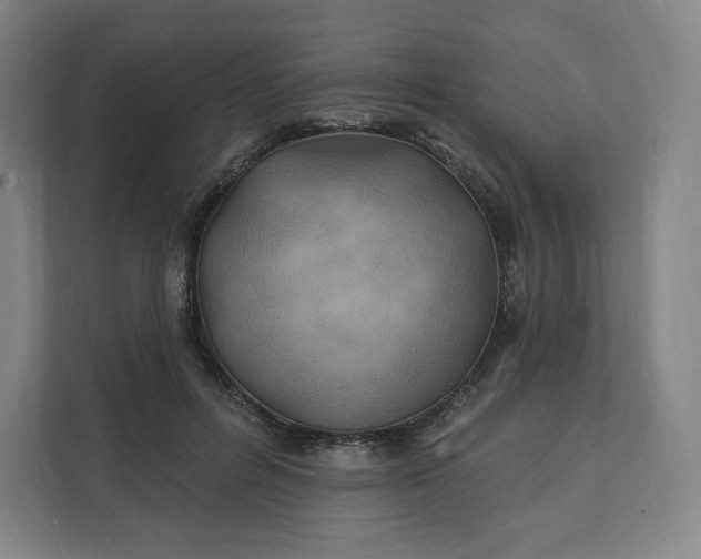 X0000112200600200908211542