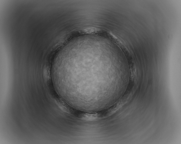 X0000112200606200908211542