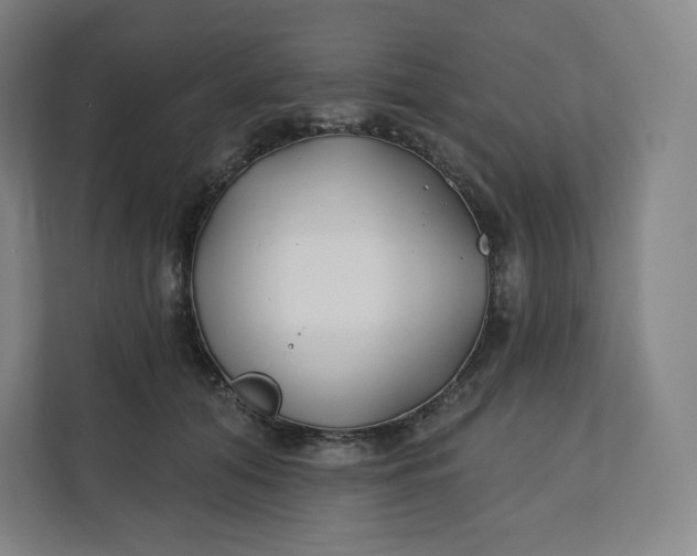 X0000112200608200908211542