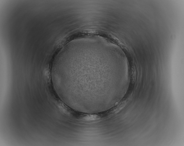 X0000112200609200908211542