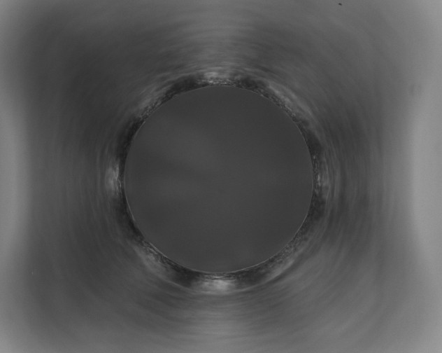 X0000112200610200908211542