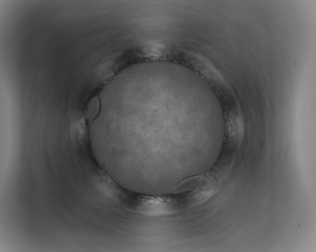 X0000112200611200908211542