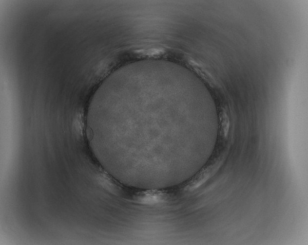 X0000112200612200908211542