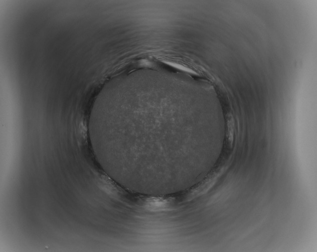 X0000112200613200908211542