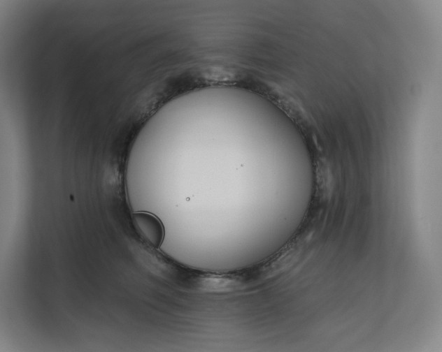 X0000112200614200908211542