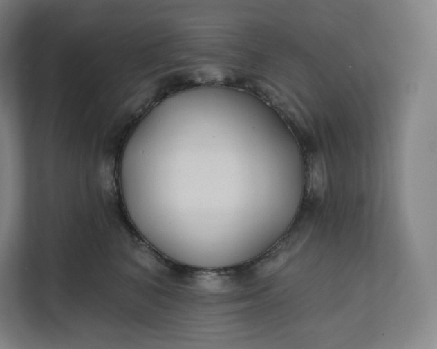 X0000112200616200908211542