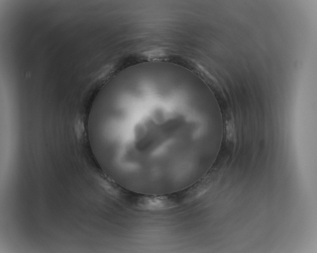 X0000112200618200908211542