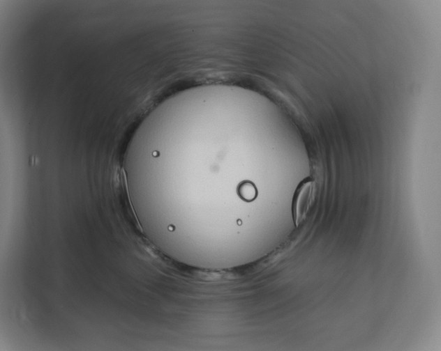 X0000112200621200908211542