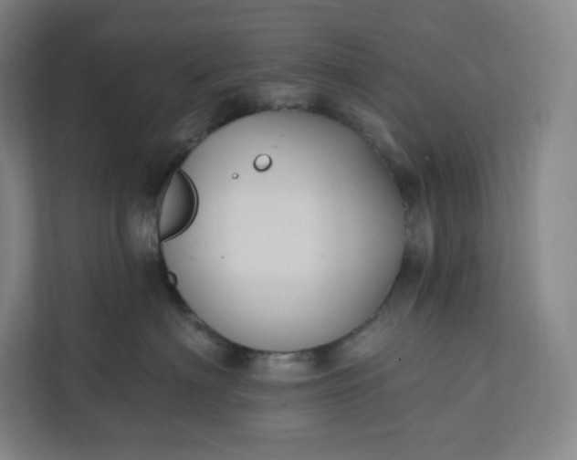 X0000112200622200908211542