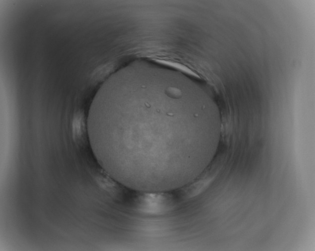 X0000112200623200908211542