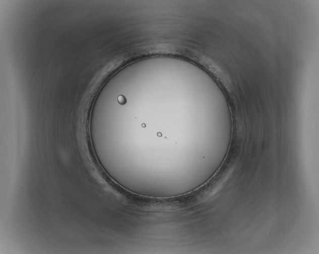 X0000112200625200908211541