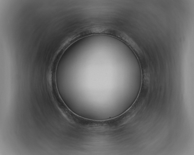 X0000112200626200908211541