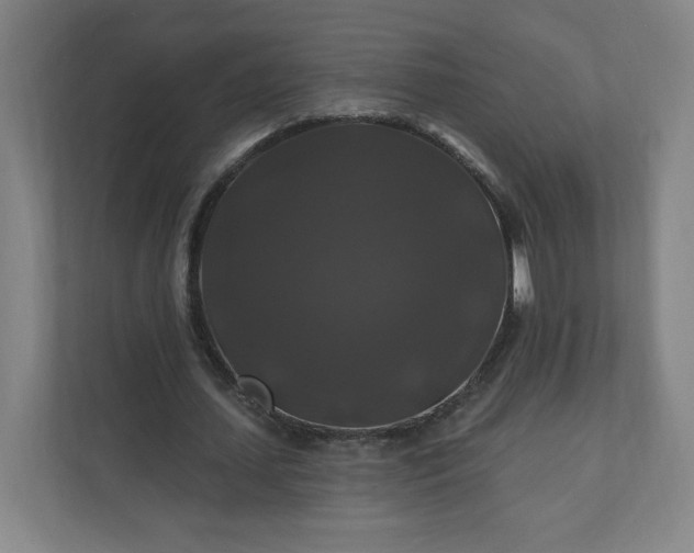 X0000112200627200908211541