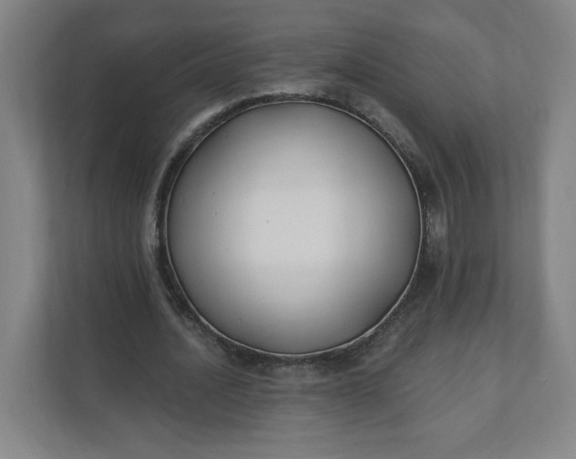 X0000112200628200908211541