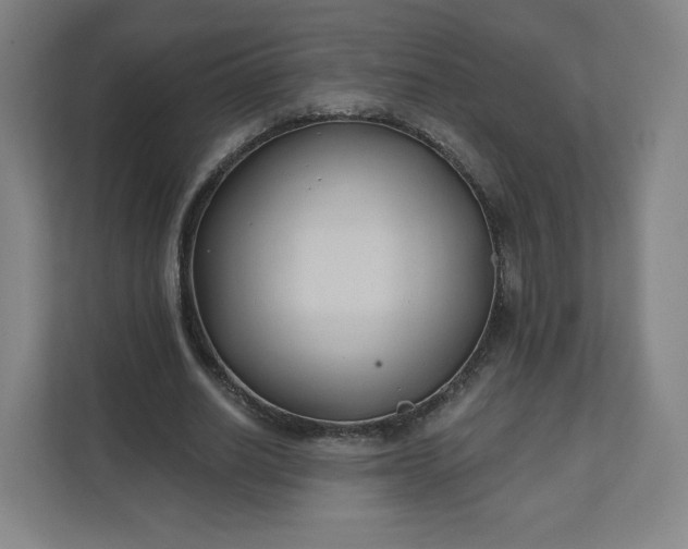 X0000112200630200908211541